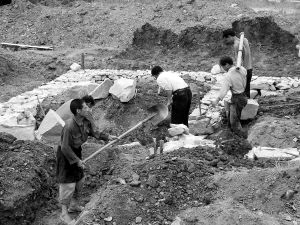 将乐县人民政府_图片专题