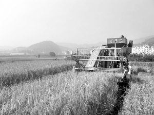 将乐县人民政府_图片专题