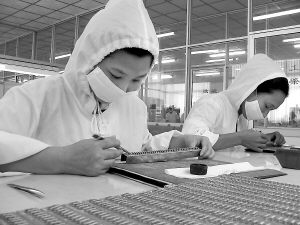 将乐县人民政府_图片专题