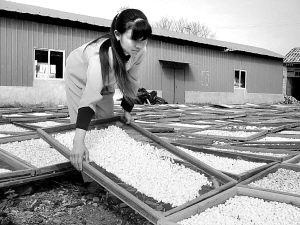 将乐县人民政府_图片专题