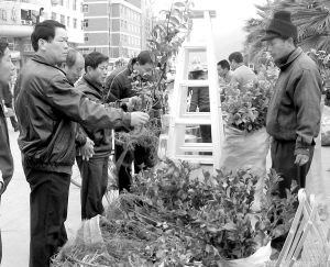 将乐县人民政府_图片专题