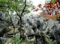 发两张天阶山的老图