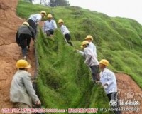 一定要消灭荒山