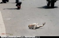 让人感动的有关母爱的图片——母亲，您辛苦了！