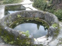 梅花村的梅花井
