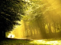 Lars Van De Goor风景摄影作品（转帖）