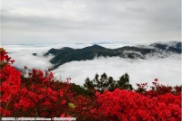 光明宝台山的美景