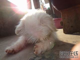 调整大小 丑丑妈妈.JPG