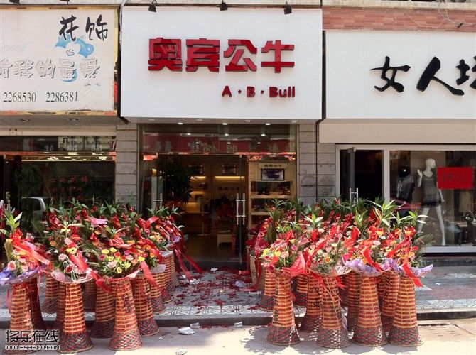 奥宾公牛.jpg