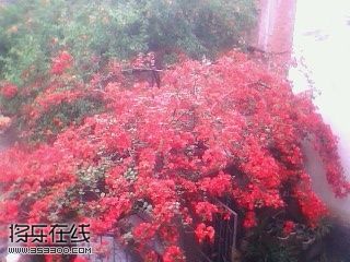 IMG0168A.jpg