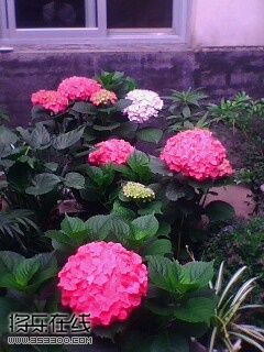 IMG0075A.jpg