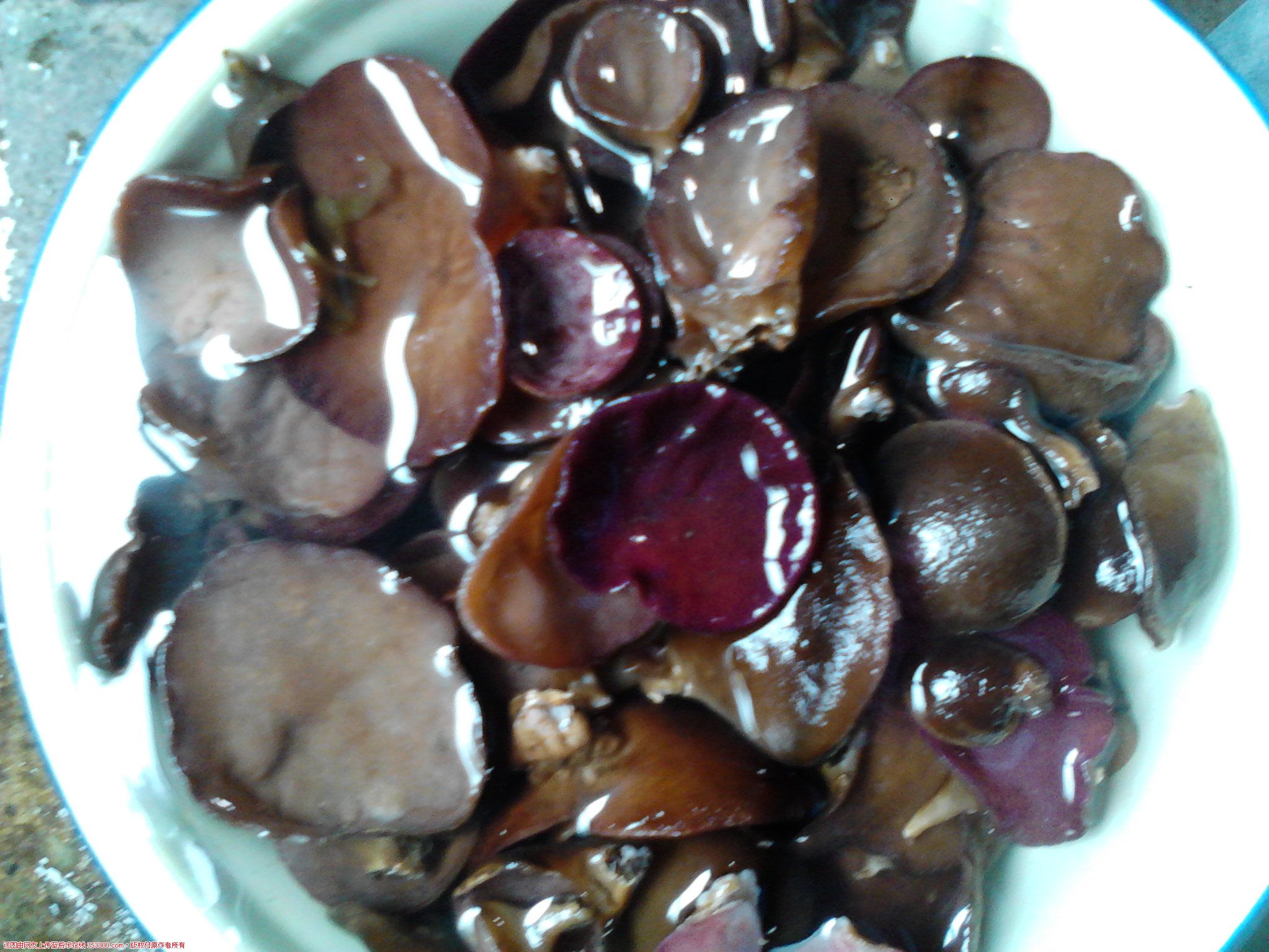 Camera_20120614_105936.jpg