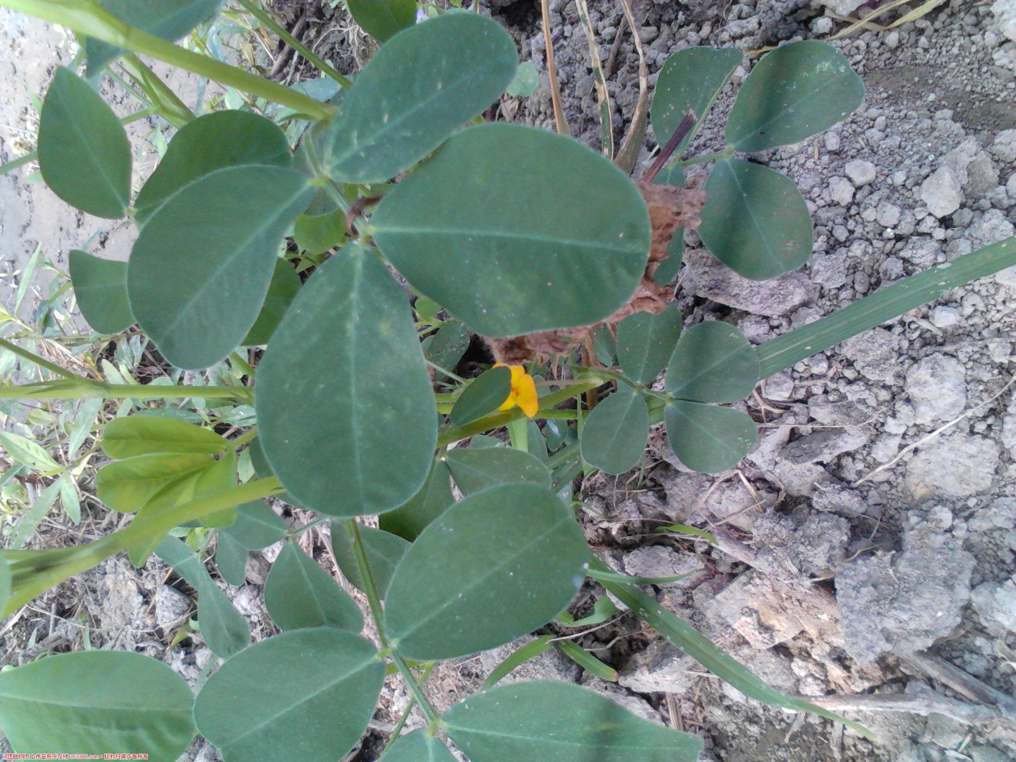 Camera_20120614_093714.jpg