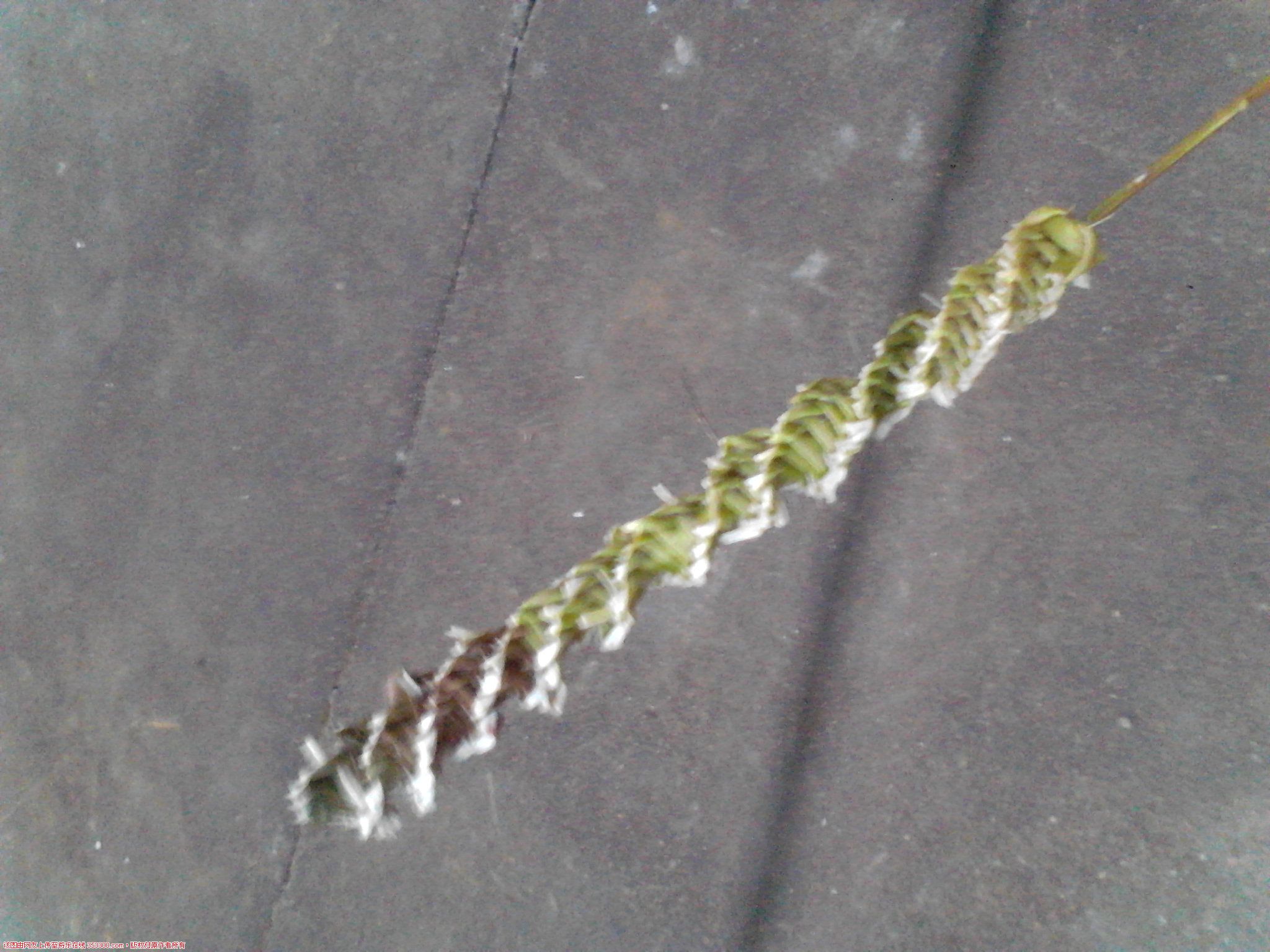 Camera_20120605_190533.jpg