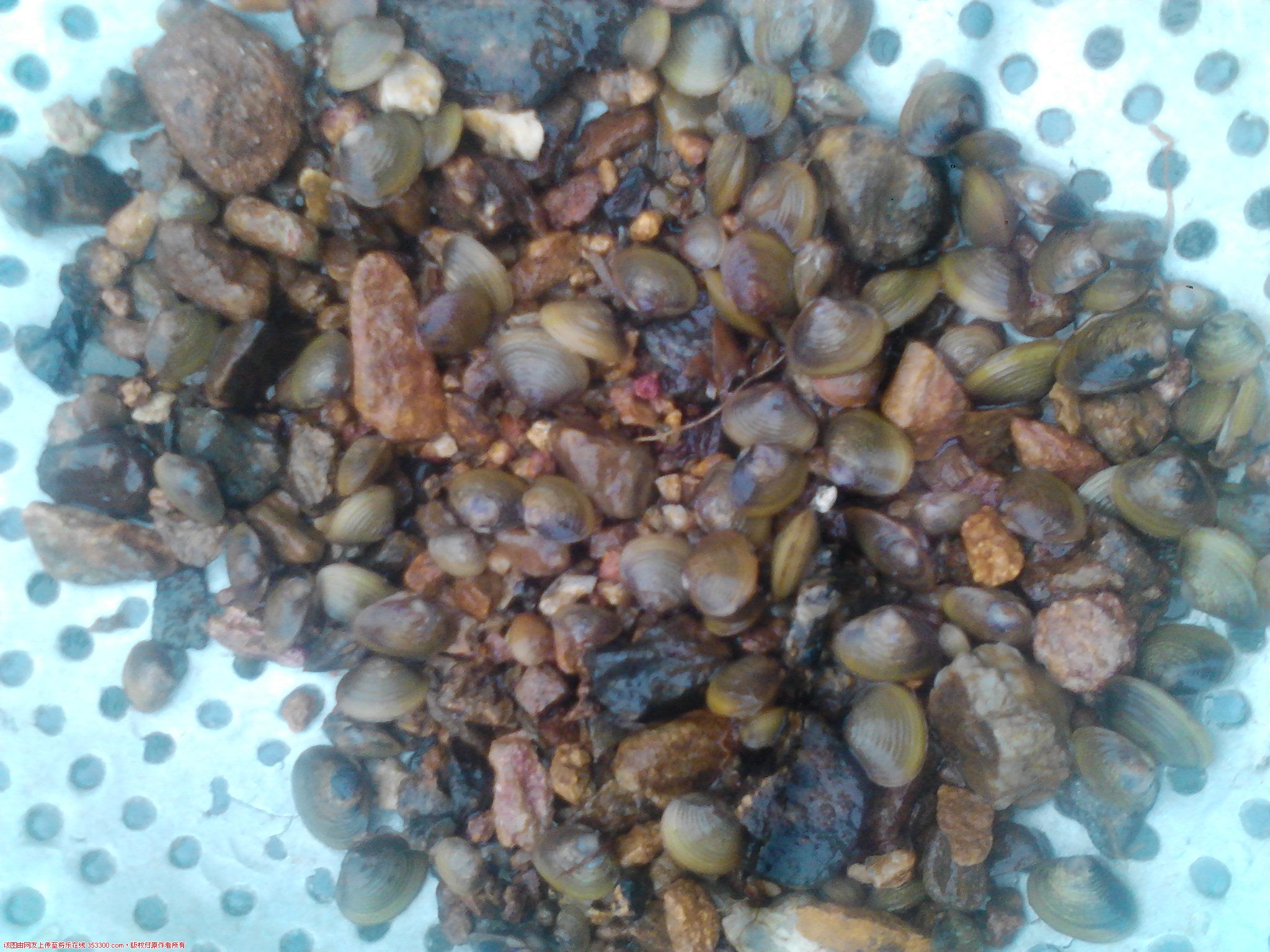 Camera_20120602_093051.jpg