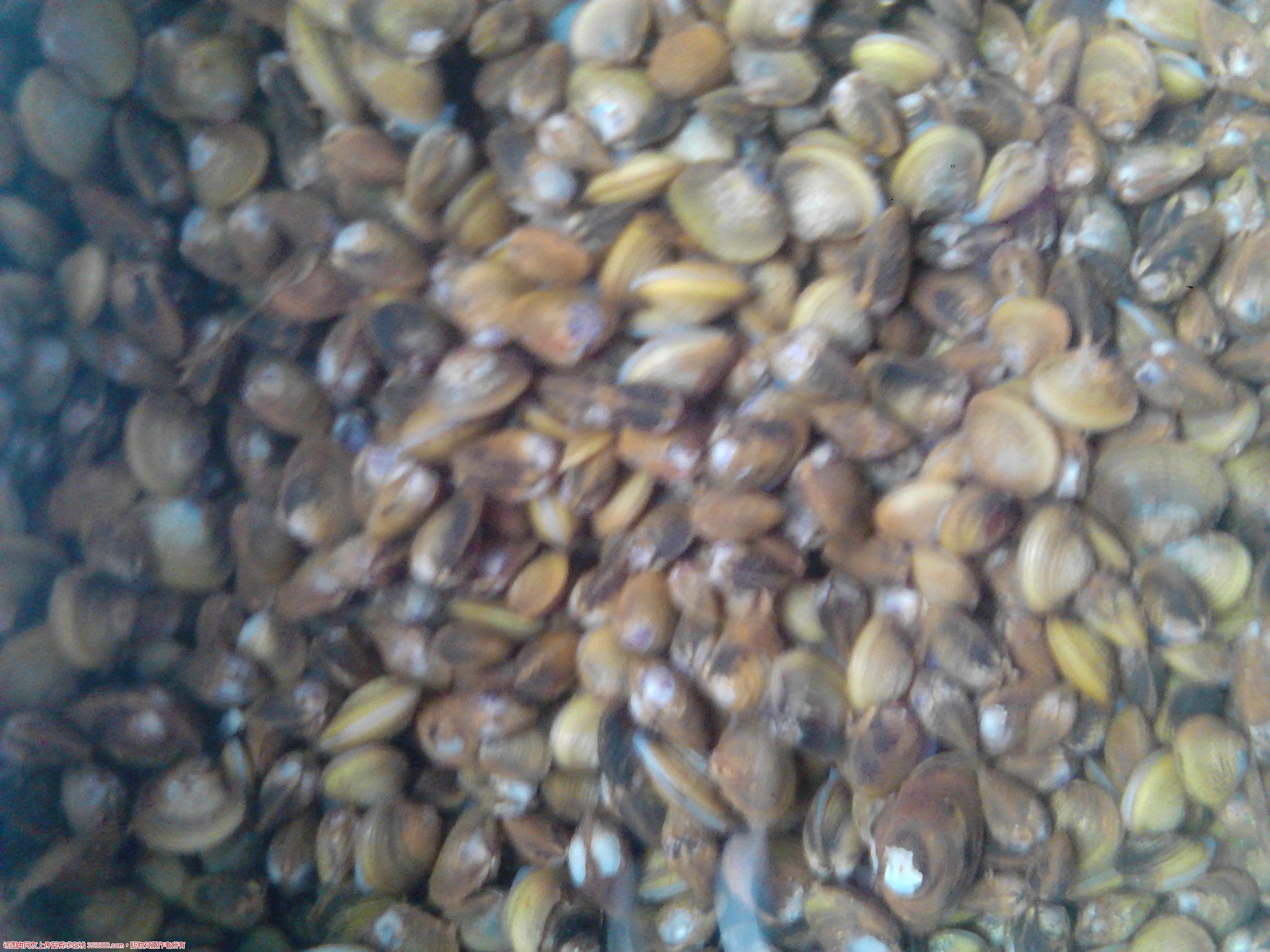 Camera_20120602_134346.jpg