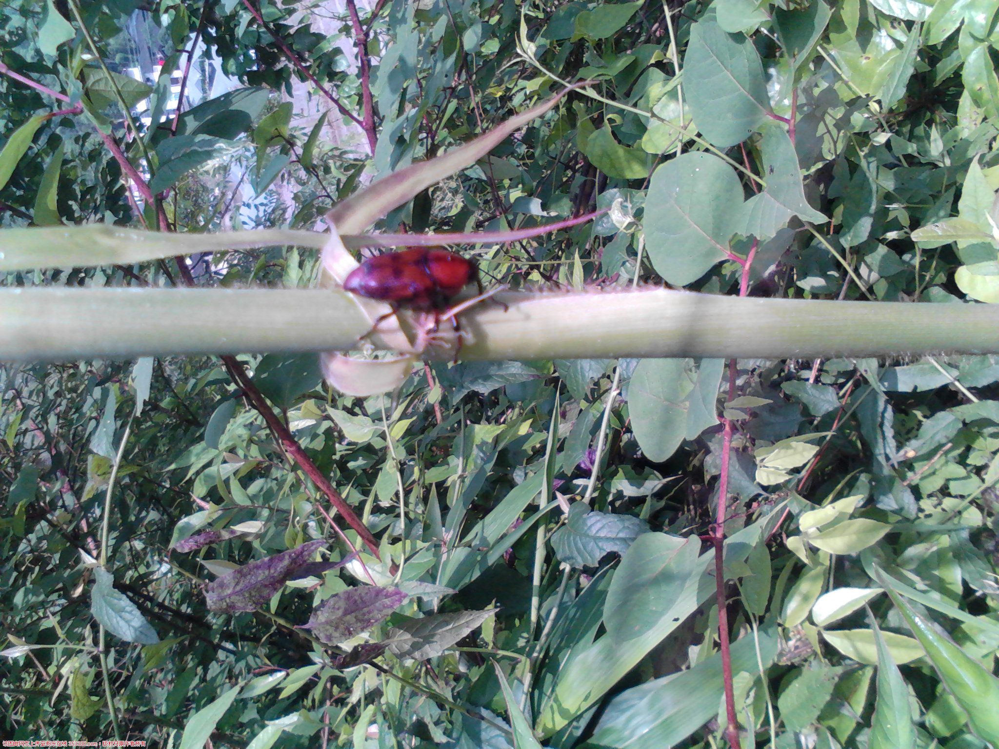Camera_20120518_090830.jpg