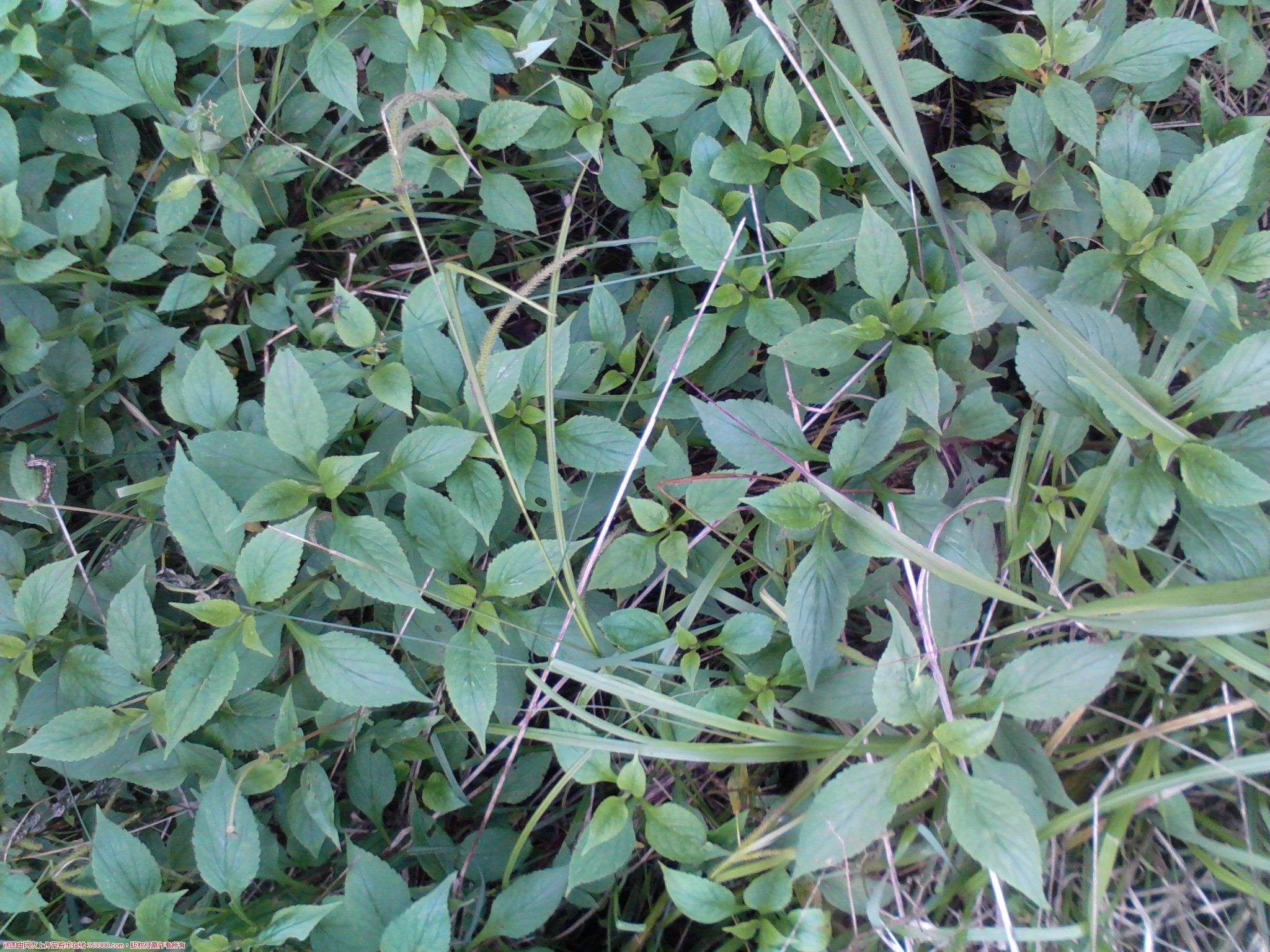 Camera_20120508_132344.jpg