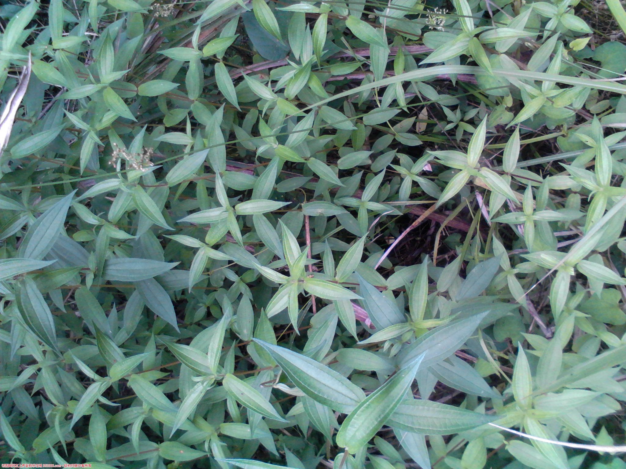 Camera_20120508_132601.jpg