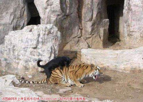 359b033b5bb5c9ea4f26cbafd539b6003bf3b3a1_副本.jpg