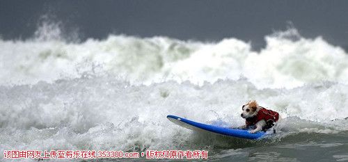 115946bae2f3eb861a13788c852d25d7_1024364_副本.jpg