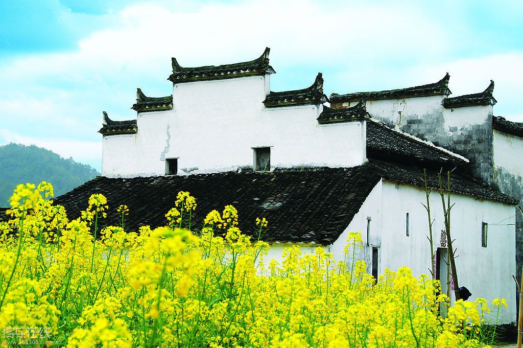 433148_175237086_2_副本.jpg