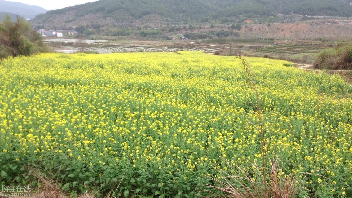 QQ图片20150317224309.jpg