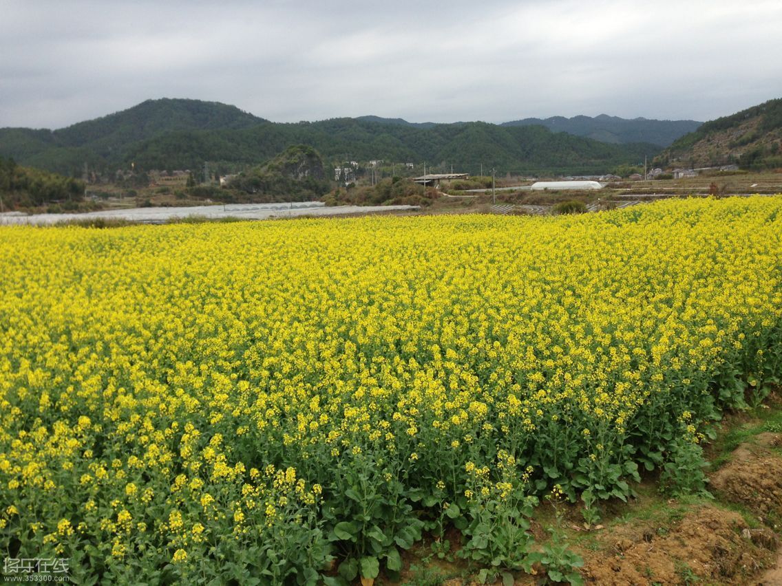 QQ图片20150317224328.jpg