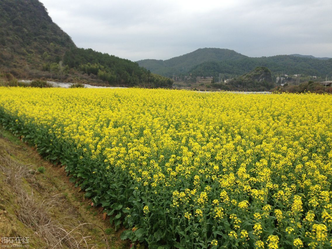 QQ图片20150317224423.jpg