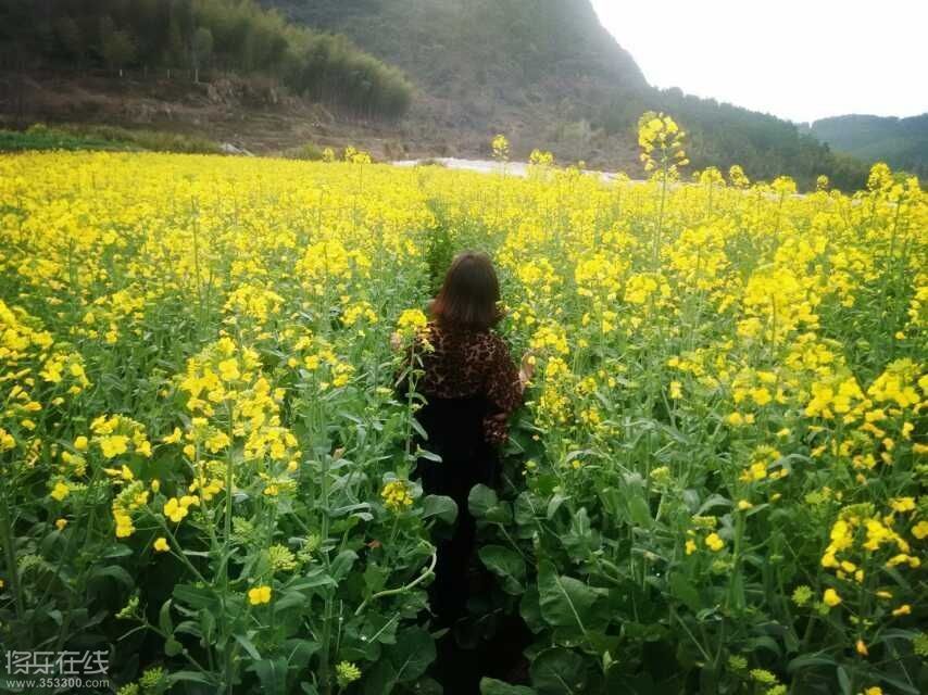 QQ图片20150317224429.jpg