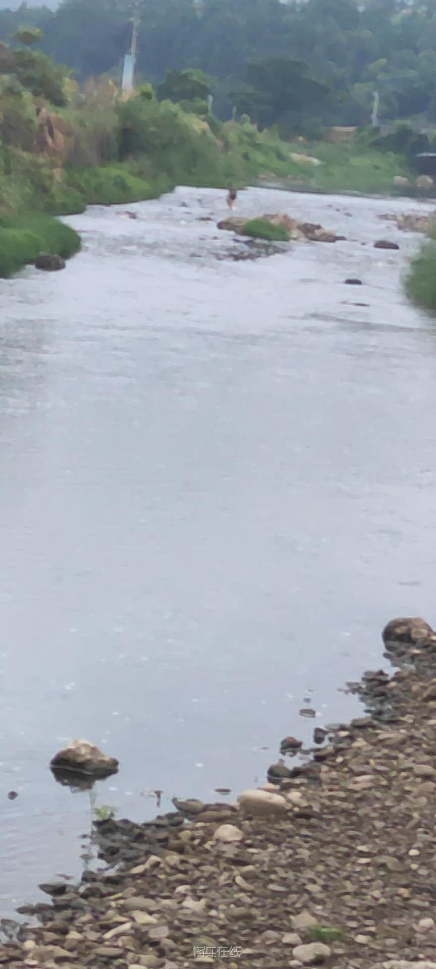 wechat_upload15953684395f1763f7a75ea