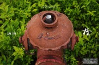 花语20110507