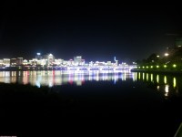 新公园夜景