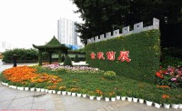 2012年福州金秋菊花展！