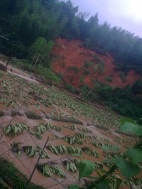 6.21将乐大源乡山坊大队新杨源灾区图