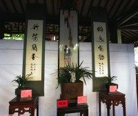 兰花-----字画！！