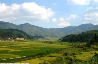 桃村坑风光