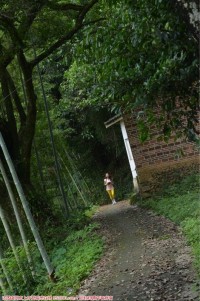 乡村靓影