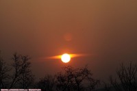 红彤彤的太阳（夕阳）挂树梢尉为壮观，，，，，，！！