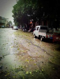 下午那一阵暴雨