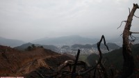 寂静、落寞的山坡