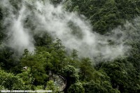 山中雾岚