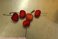 爱拍