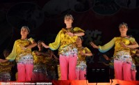 “远离邪教，珍惜美好生活”文艺晚会实况图片