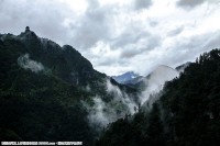 云雾山中