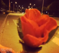 提前祝大家情人节快乐！