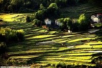 锦绣家园