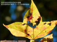 片片枫叶情---湘坪红叶