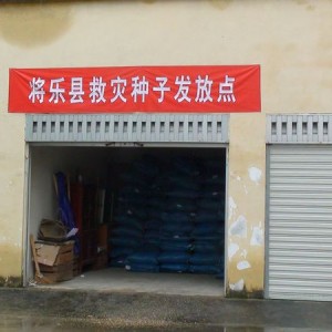 将乐迅速将省级救灾种子发送到乡镇补播改种