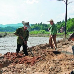 我县灾民自发抢通灌溉渠道